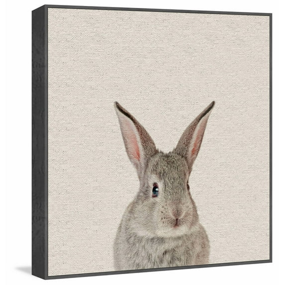 Bunny Surprise Floater Framed Painting Print on Canvas