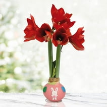 Bunny Tails Waxed Amaryllis Flower Bulb with Stand, Grow Real Blooming Indoor Spring Flowers, No Water Needed