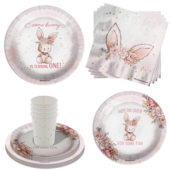 Some Bunny is Turning One 1st Birthday Party Supplies 64 Piece Tableware Set Includes Large 9" Paper Plates Dessert Plates, Cups and Napkins Kit for 16