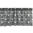 thumbnail image 1 of Bunny Window Valance Pack of 2, Rabbits Pattern Standing out a Different Color in Greyscale Art, Rod Pocket Curtain Valances for Kitchen Bedroom, 54" X 12", Pale Grey Charcoal Grey, by Ambesonne, 1 of 4