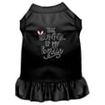 thumbnail image 1 of Pet Dog  Cat Dress Screen Printed, "The Bunny Is My Bestie", 1 of 10