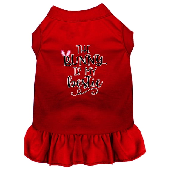 Pet Dog Cat Dress Screen Printed, "The Bunny Is My Bestie"