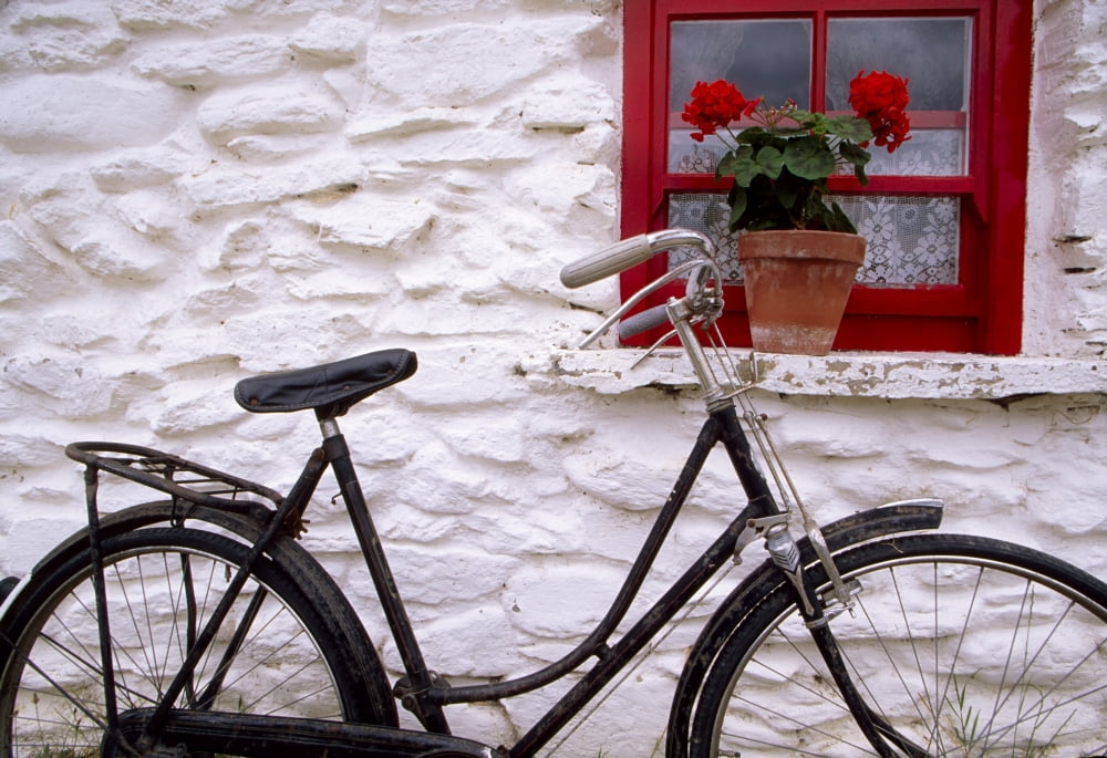 Bunratty Folk Park County Clare Ireland Cottage Window And Bicycle Canvas Art - Richard Cummins Design Pics (36 x 24)
