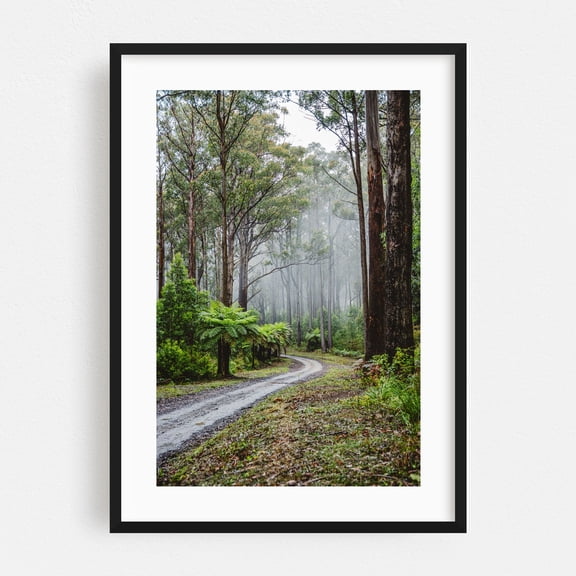 Bunyip Forest - Gentle Annie Victoria Australia Photography Forest Nature Foggy Woodland Scenic Wilderness Mystical Black Framed Wall Art Print 20 x 30 inches