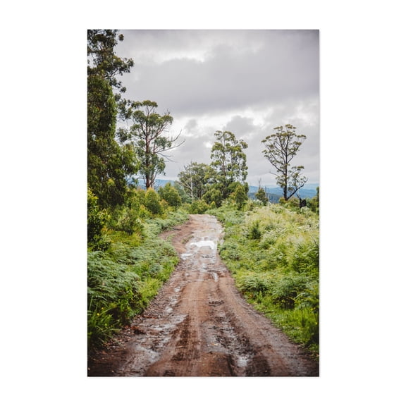 Bunyip Trails - Gentle Annie Victoria Australia Photography Nature Forest Landscape Woodland Scenic Rural Wilderness Unframed Wall Art Print 4 x 6 inches