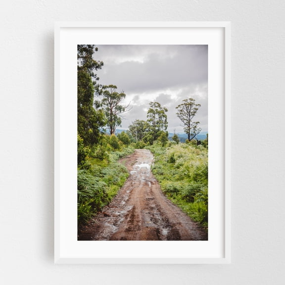 Bunyip Trails - Gentle Annie Victoria Australia Photography Nature Forest Landscape Woodland Scenic Rural Wilderness White Framed Wall Art Print 16 x 24 inches