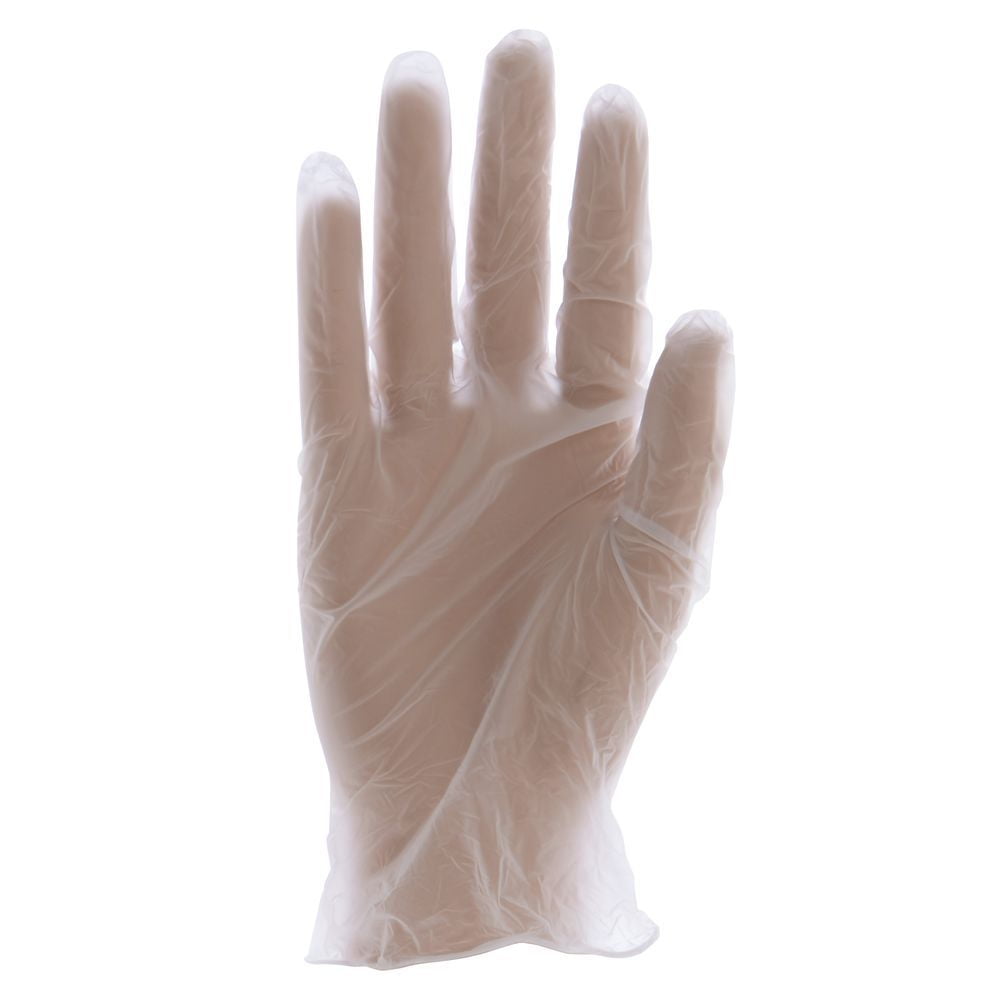 Bunzl oneSAFE Clear Vinyl PowderFree Disposable Gloves Large