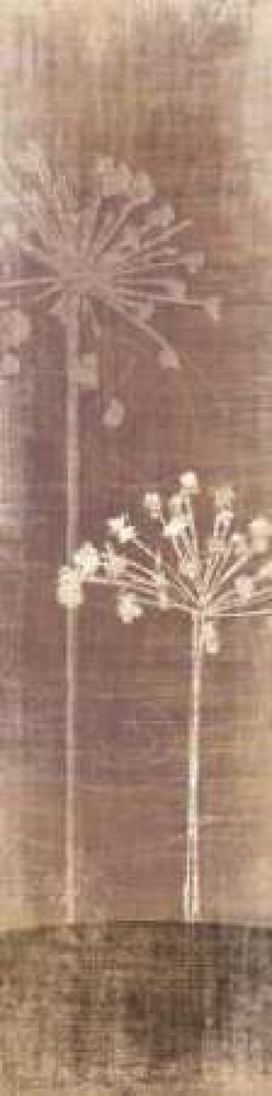 Buon Fresco I Canvas Art - Tandi Venter (12 x 36)