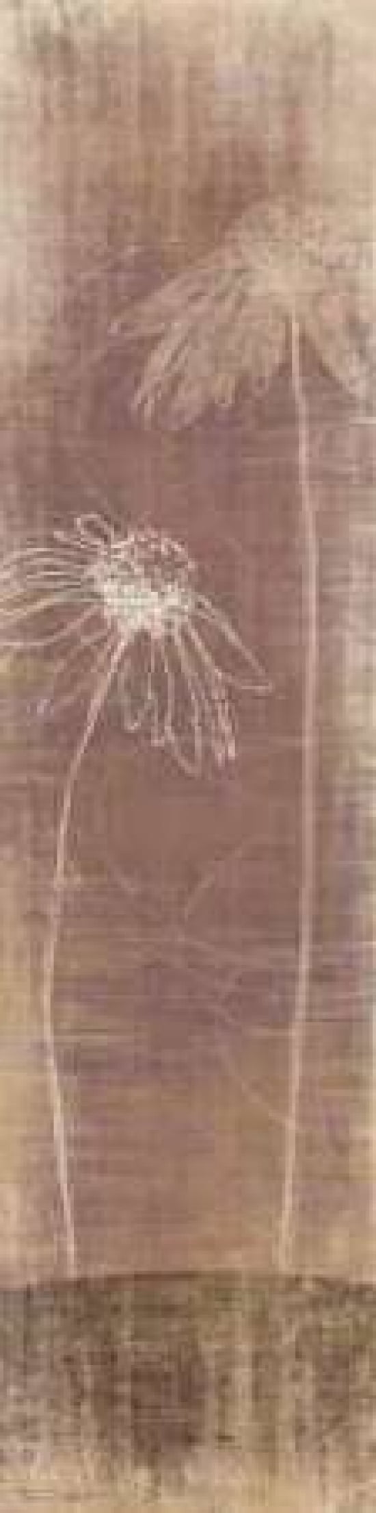 Buon Fresco II Canvas Art - Tandi Venter (8 x 24)