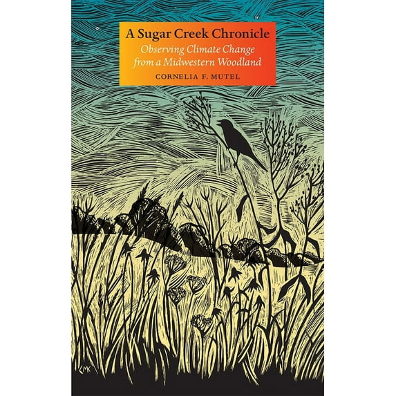 Bur Oak Book: A Sugar Creek Chronicle : Observing Climate Change from a Midwestern Woodland (Paperback)