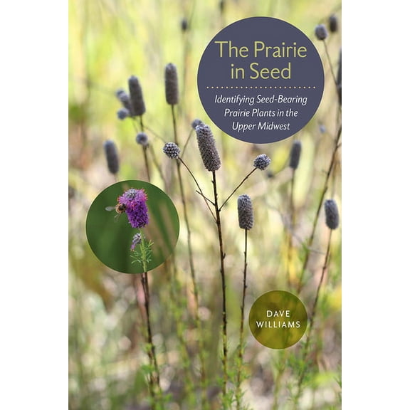 Bur Oak Guide The Prairie in Seed: Identifying Seed-Bearing Prairie Plants in the Upper Midwest, (Paperback)