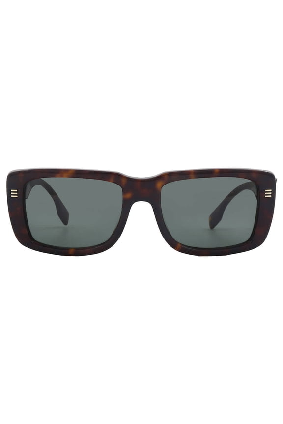 BE 4376U Plastic Mens Rectangular Sunglasses Brown 55mm Adult