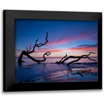 Burchett, P.H. 14x12 Black Modern Framed Museum Art Print Titled - Driftwood Beach