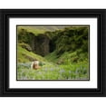 thumbnail image 1 of Burchett, P.H. 14x12 Black Ornate Wood Framed with Double Matting Museum Art Print Titled - Icelandic Horses XI, 1 of 4