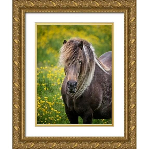 Burchett, P.H. 25x32 Gold Ornate Wood Framed with Double Matting Museum Art Print Titled - Icelandic Horses V