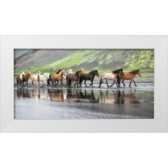 Burchett, P.H. 32x18 White Modern Wood Framed Museum Art Print Titled - Icelandic Horses XIV