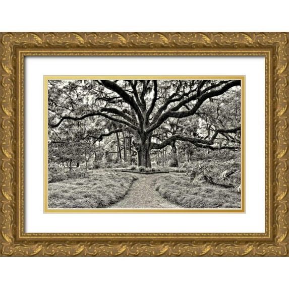Burchett, P.H. 32x23 Gold Ornate Wood Framed with Double Matting Museum Art Print Titled - Florida Tree
