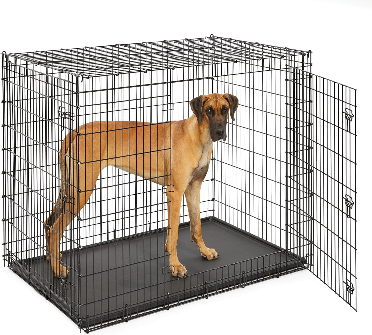Burculy Pets 18" Double Door Folding Dog Crate for Tiny Breeds Up to ...