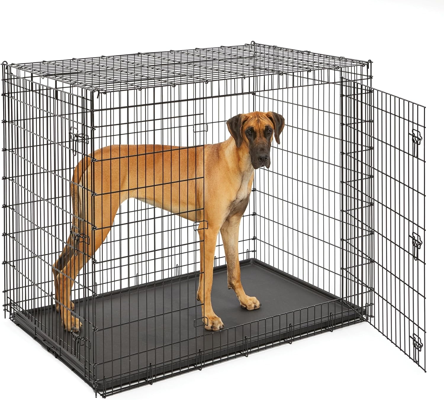 Burcyly Homes for Pets 36-Inch iCrate for Medium-Large Breeds, 41-70 lbs, Double Door Folding Dog Crate with Divider Panel, Leak-Proof Tray & Secure Latches, Portable, Durable & Easy to Assemble
