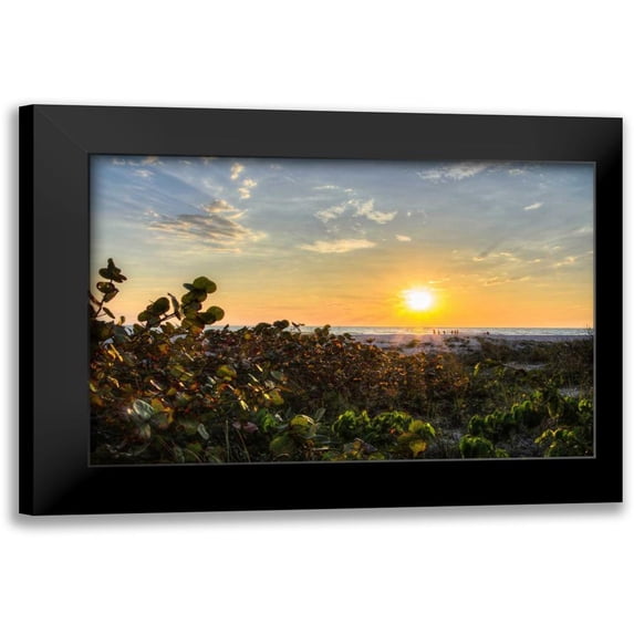 Burdick, Chuck 24x17 Black Modern Framed Museum Art Print Titled - Sea Grapes at Sunset