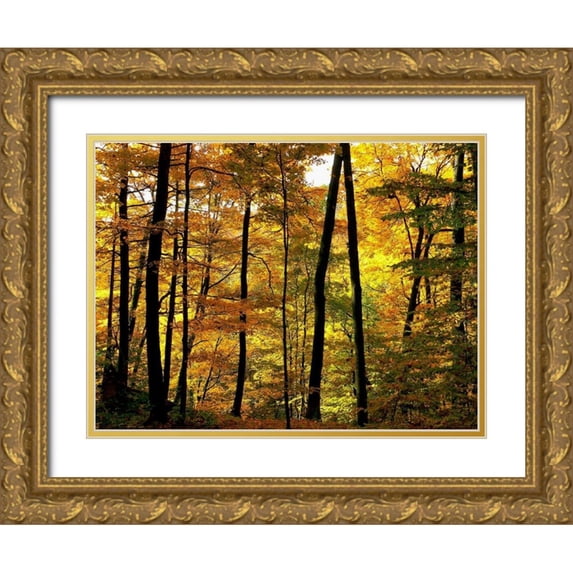 Burdick, Chuck 32x25 Gold Ornate Wood Framed with Double Matting Museum Art Print Titled - Fall Colors