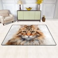 thumbnail image 1 of Burdine Cat Area Rug Washable 72 x 48 Floor Carpet Mat Non Slip for Bedroom Living Room Kids Room Home Decor, 1 of 7