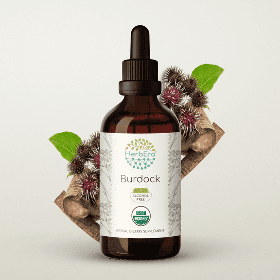 HerbEra Burdock Tincture, Organic Herbal Dietary Supplement for Detox Support, Certified Organic Burdock (Arctium lappa) Dried Root Extract, Natural, Alcohol-Free, Drops 4 oz