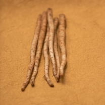 Burdock Seeds - Salada Musume - 1 g Packet ~68 Seeds - Non-GMO, Heirloom - Asian Herb Gardening