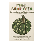 Burgess Buttercup Winter Squash Seeds