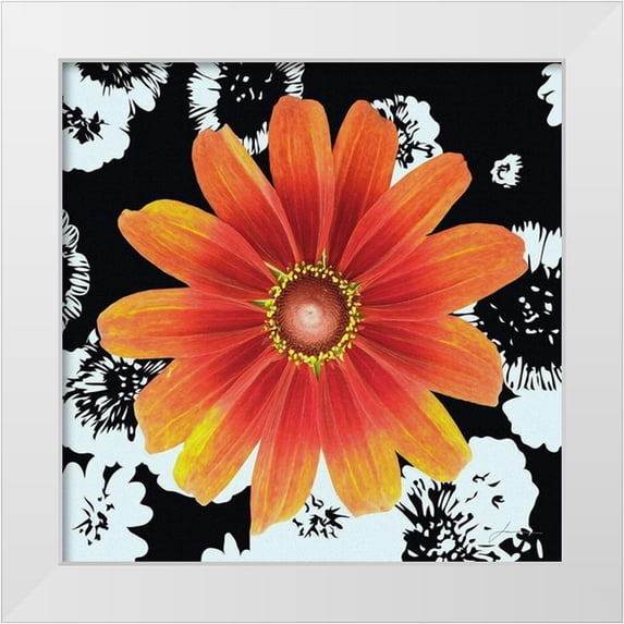 Burghardt, James 12x12 White Modern Wood Framed Museum Art Print Titled - Black and Bloom
