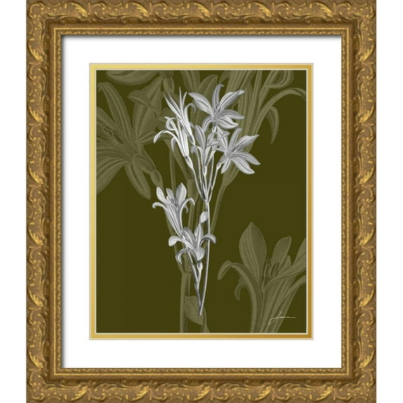 Burghardt, James 12x14 Gold Ornate Wood Framed with Double Matting Museum Art Print Titled - Jewel Stems II