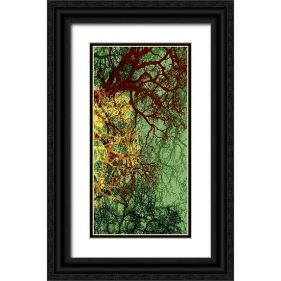 Burghardt, James 14x24 Black Ornate Wood Framed with Double Matting Museum Art Print Titled - Entangle II
