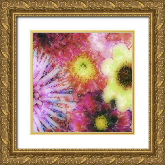 Burghardt, James 20x20 Gold Ornate Wood Framed with Double Matting Museum Art Print Titled - Floral Reef III
