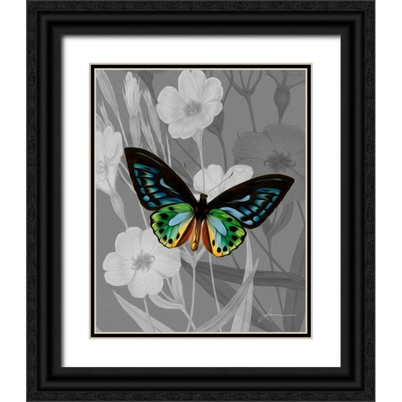 Burghardt, James 20x24 Black Ornate Wood Framed with Double Matting Museum Art Print Titled - On Display I