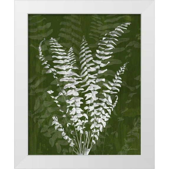 Burghardt, James 20x24 White Modern Wood Framed Museum Art Print Titled - Jewel Ferns I