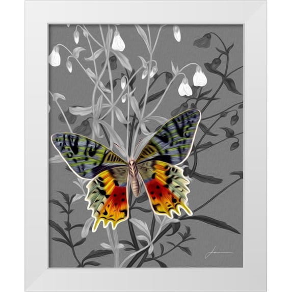 Burghardt, James 20x24 White Modern Wood Framed Museum Art Print Titled - On Display IV