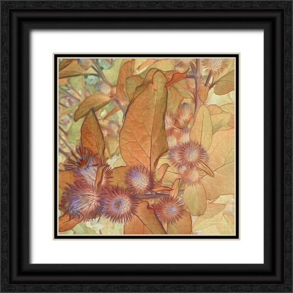Burghardt, James 26x26 Black Ornate Wood Framed with Double Matting Museum Art Print Titled - Prickley Tiles II