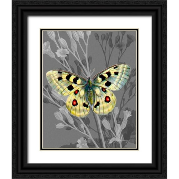 Burghardt, James 26x32 Black Ornate Wood Framed with Double Matting Museum Art Print Titled - On Display II