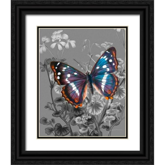 Burghardt, James 26x32 Black Ornate Wood Framed with Double Matting Museum Art Print Titled - On Display VI