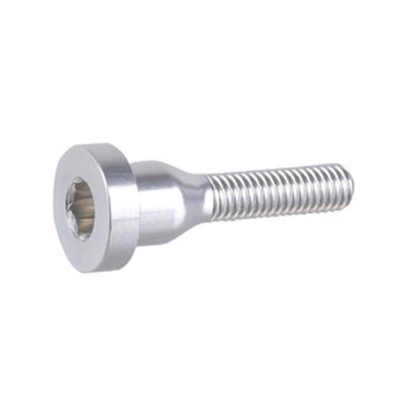 Burgtec Top Cap Bolt, Rhodium Silver
