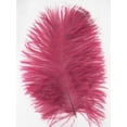 thumbnail image 1 of Burgundy Mini Ostrich Feathers 5-8 Inch per 25, 1 of 1