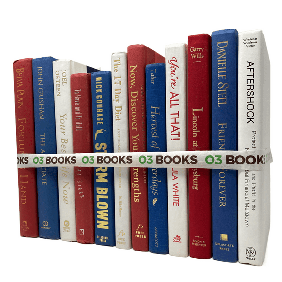 Burgundy Nights Decorative Books Red Blue and White