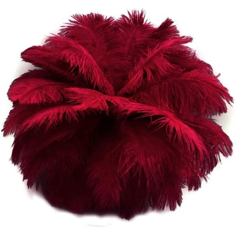 Burgundy Ostrich Large Body Drab Wholesale Feathers Bulk Gatsby