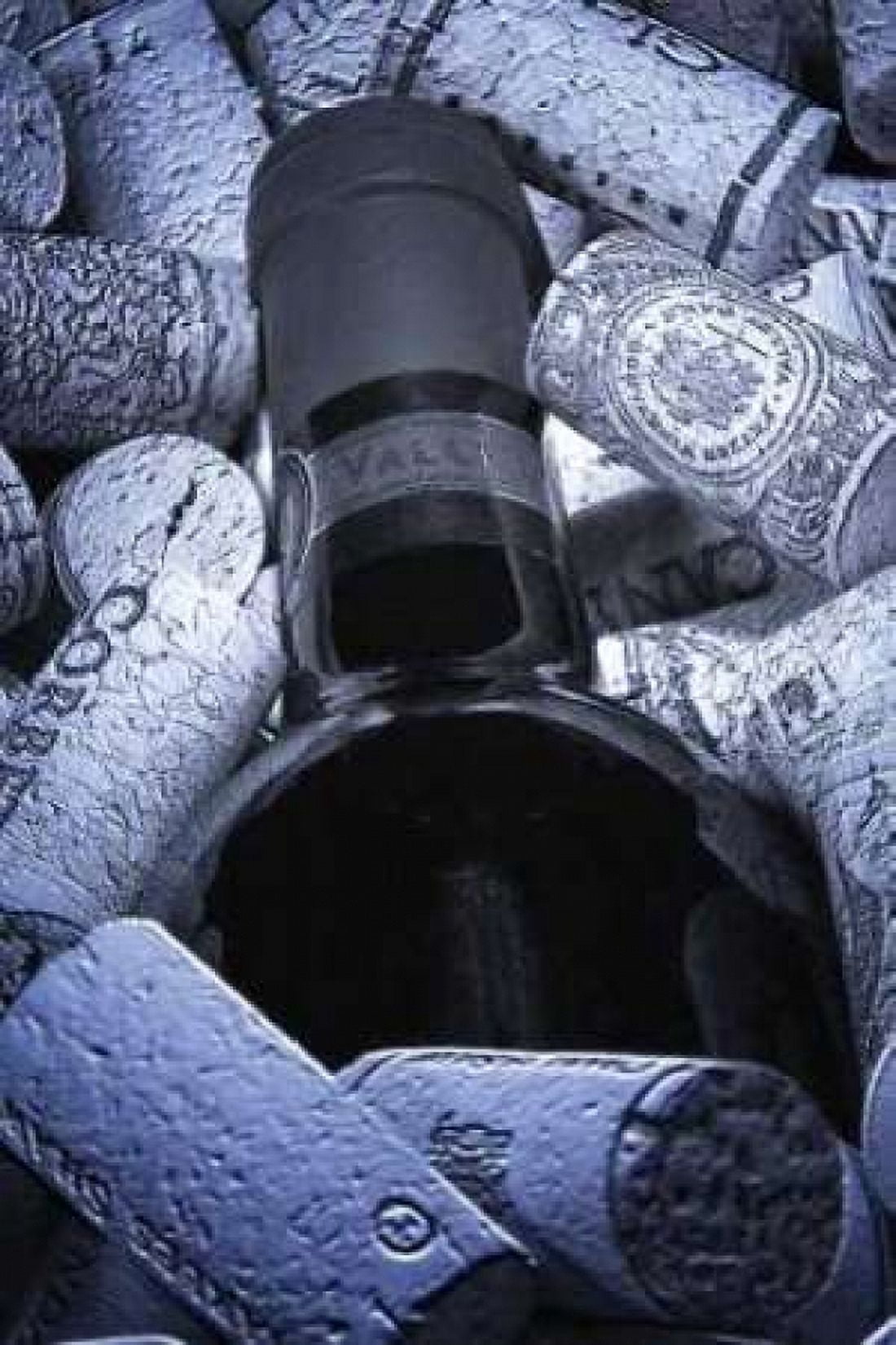 Buried Wine Bottle Canvas Art - C Thomas McNemar (24 x 36)