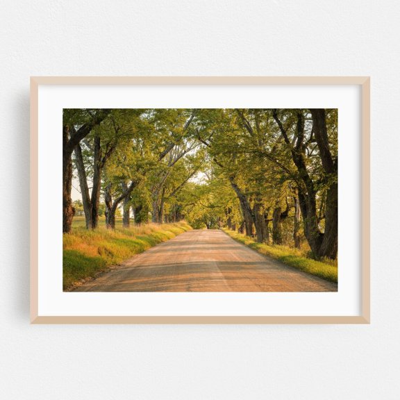 Burke Vermont Rural Countryside Woodland Landscape Poster Unframed Paper Print