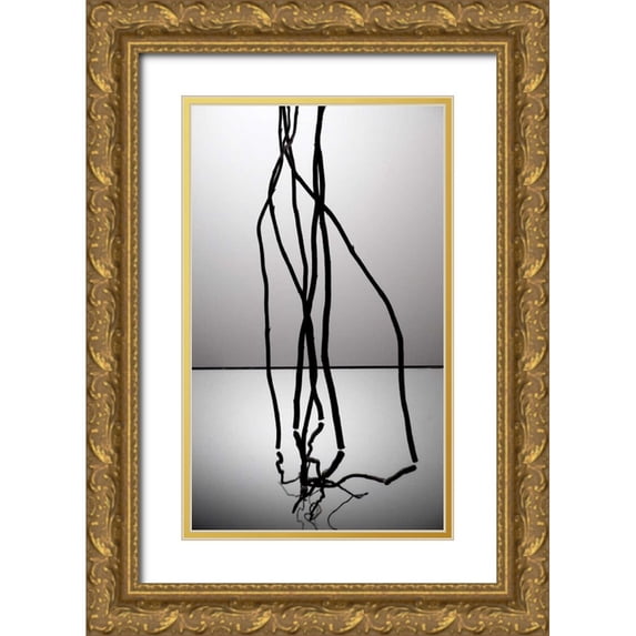 Burkhart, Monika 10x14 Gold Ornate Wood Framed with Double Matting Museum Art Print Titled - Natures Reflections IV