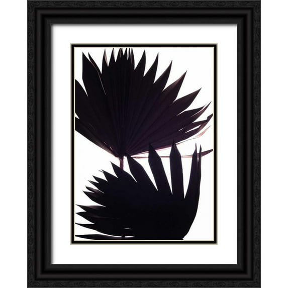 Burkhart, Monika 11x14 Black Ornate Wood Framed with Double Matting Museum Art Print Titled - Backlit II