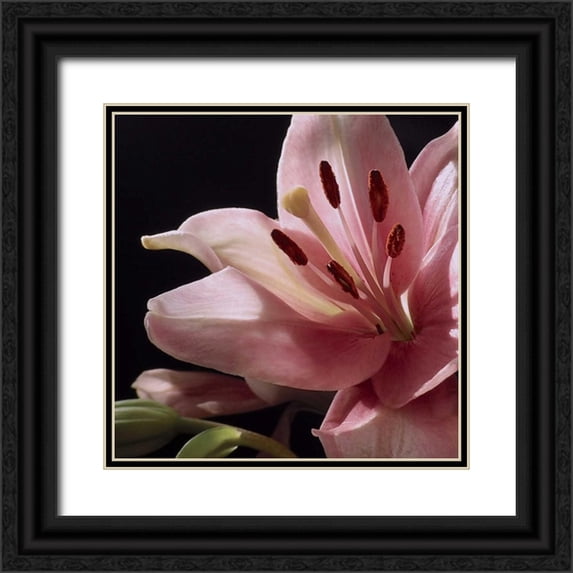 Burkhart, Monika 12x12 Black Ornate Wood Framed with Double Matting Museum Art Print Titled - Pink Translucence I