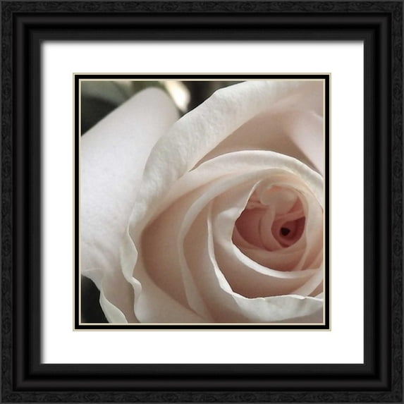 Burkhart, Monika 12x12 Black Ornate Wood Framed with Double Matting Museum Art Print Titled - White Rose I