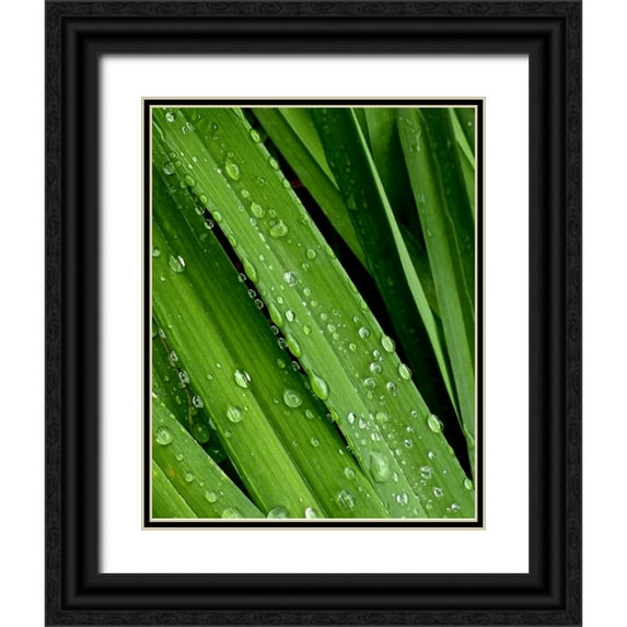 Burkhart, Monika 12x14 Black Ornate Wood Framed with Double Matting Museum Art Print Titled - April Rain II